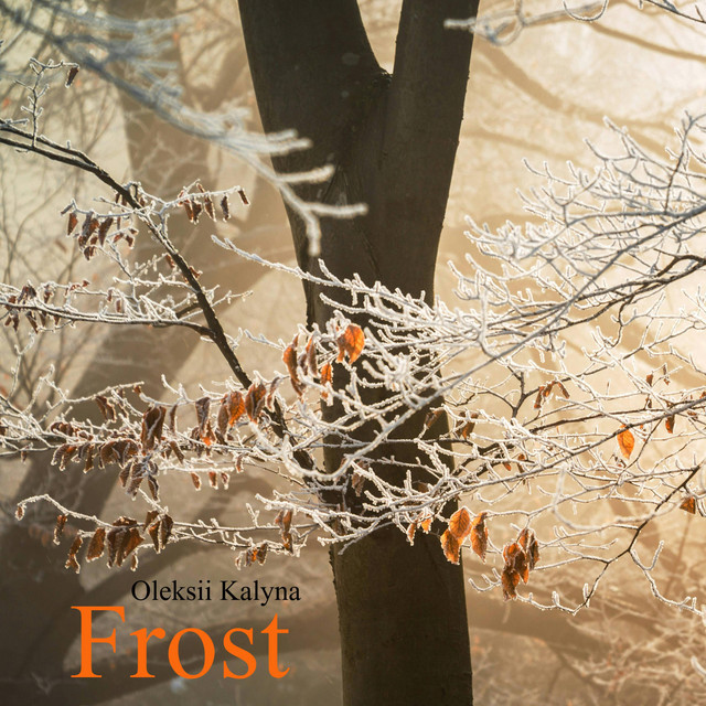 Обкладинка: Frost — Oleksii Kalyna