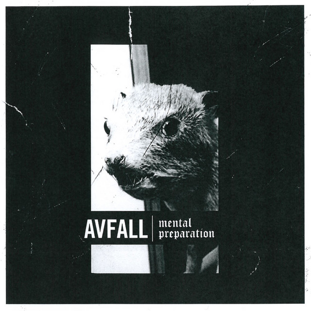 Mental Preparation cover art
