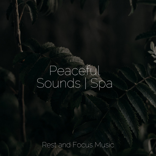Peaceful Sounds | Spa - Album by Sleep Songs 101 | Spotify