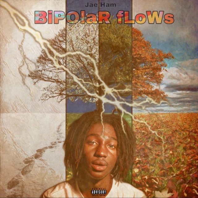 Bipolar Flows cover art
