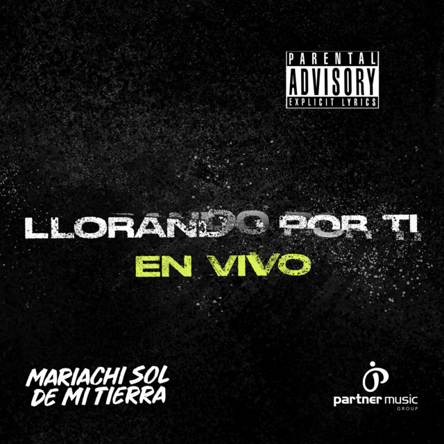 Llorando Por Ti (En Vivo) cover art