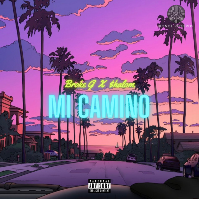 Mi camino