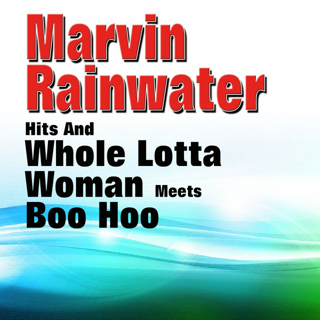 Whole Lotta Woman Meets Boo Hoo (Original Artist Original Songs) cover art
