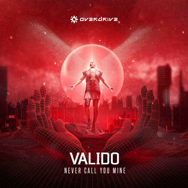 Never Call You Mine - Extended Mix album art