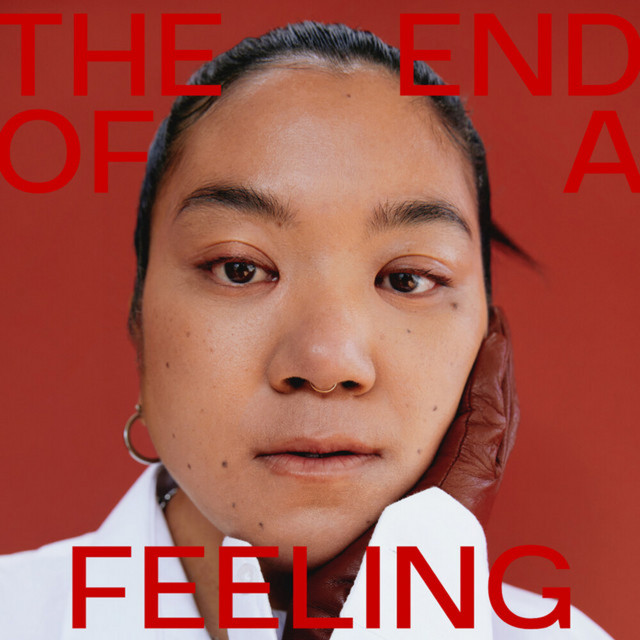 Too Much cover art