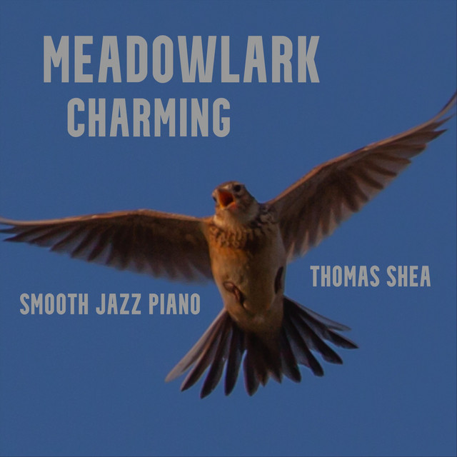 Thomas Shea