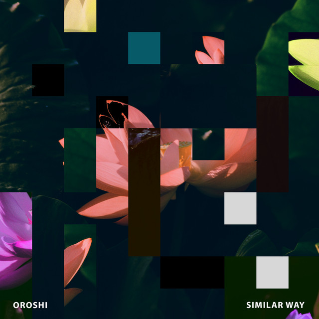 Similar Way album image
