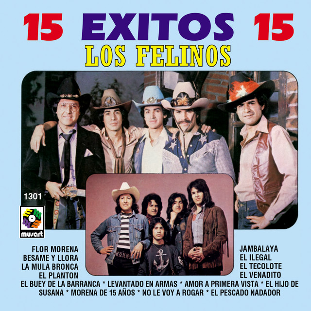 15 Exitos - Felinos cover art