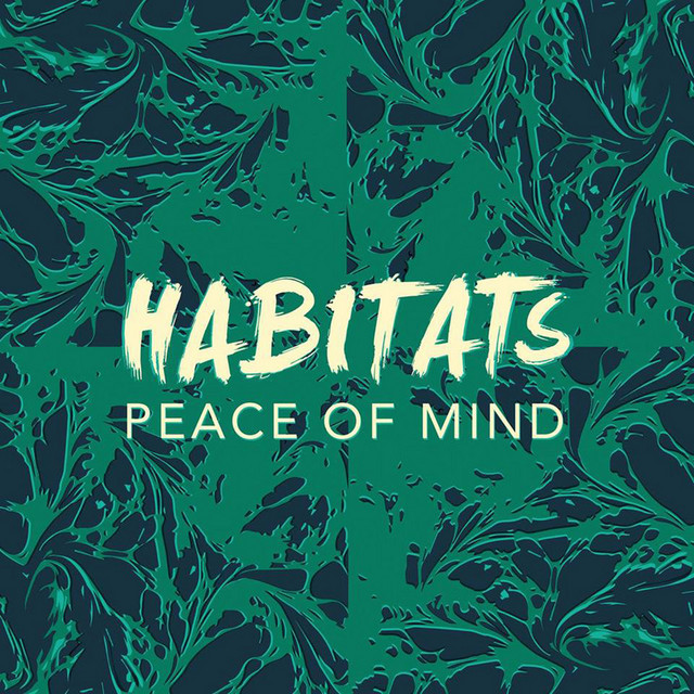 Peace of Mind cover