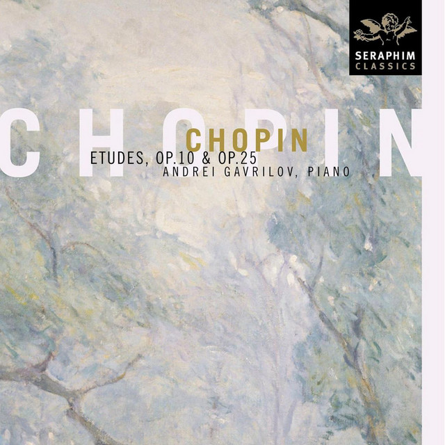 Chopin 12 Etudes Op 25 No 6 In G Sharp Minor Song By Frederic Chopin Andrei Gavrilov Spotify