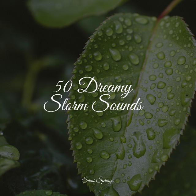 50 Dreamy Storm Sounds - Album by Baby Sleep Music | Spotify