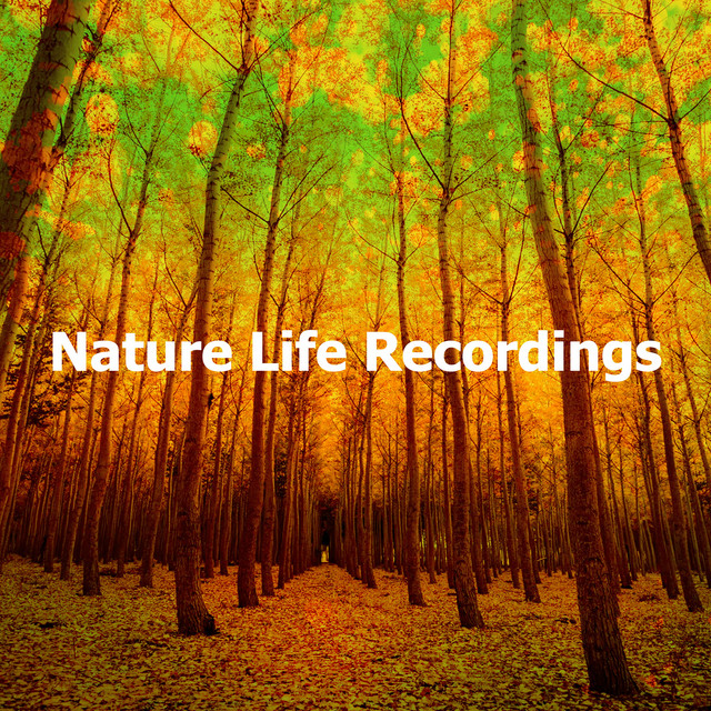 Nature Life Recordings - Album by Forest Soundscapes | Spotify