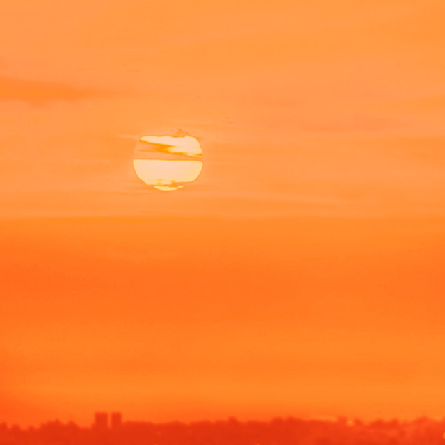 Misty Orange