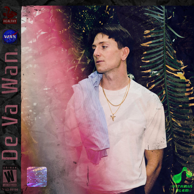 DE VA WAN cover art