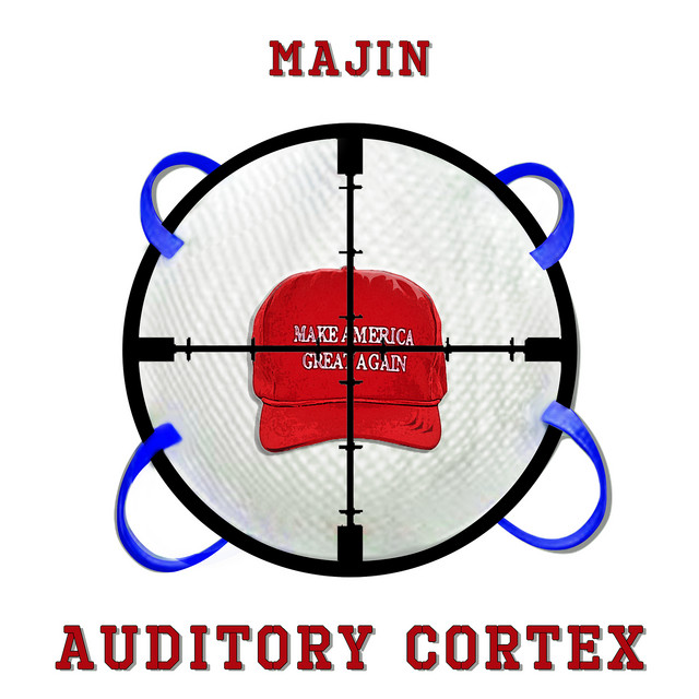 Auditory Cortex cover art
