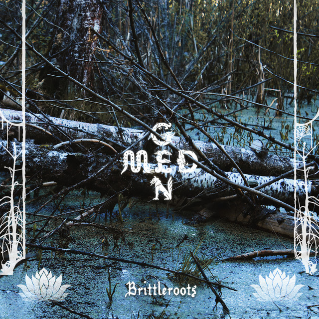 Brittleroots cover art
