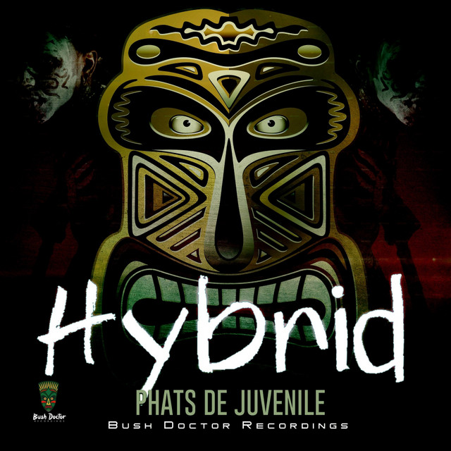 Hybrid cover art