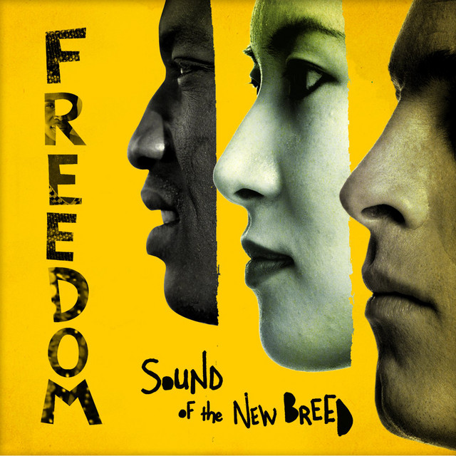 Freedom cover art