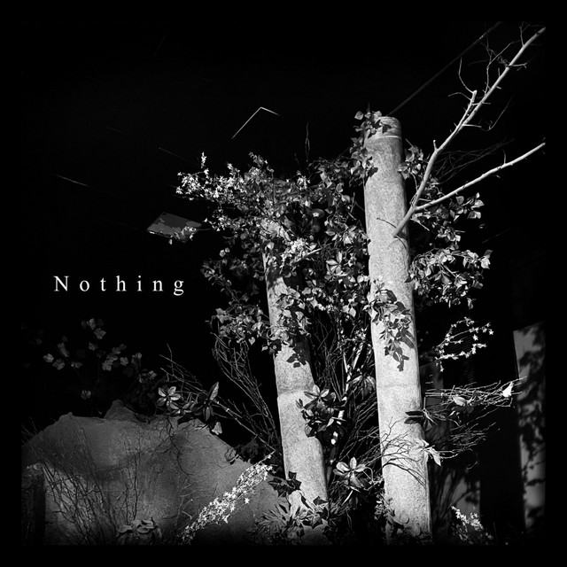 Nothing cover art
