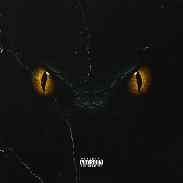 PIRANHA cover art