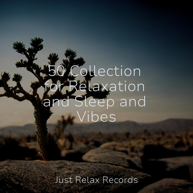 50 Collection for Relaxation and Sleep and Vibes - Album by Rest ...
