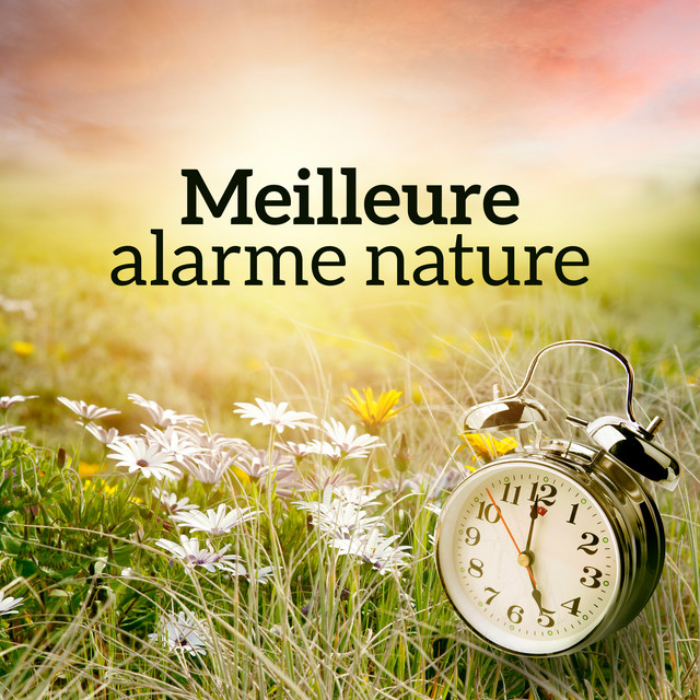 Meilleure alarme nature: Sons de réveil, Sons relaxants pour un matin heureux et un bon réveil cover art