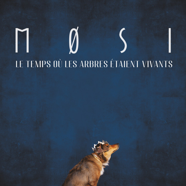 Pochette du titre Le temps où les arbres étaient vivants