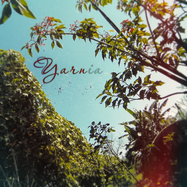 Yarnia cover art