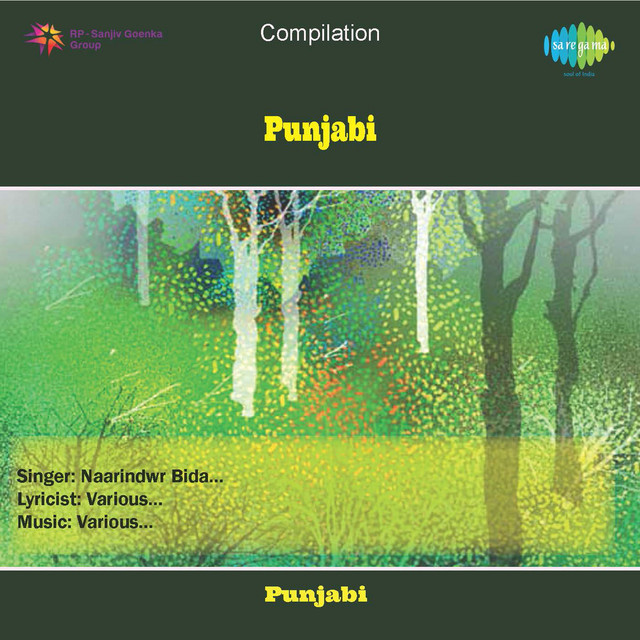 Punjabi Mata Bhajans cover art
