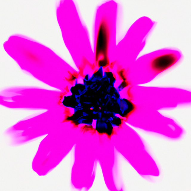 Nueva Obsesión (160) cover art