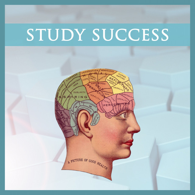 Music for Studying, Concentration, Focus, Brain Power, Memory, Homework, Motivation, Better Learning, Success, Chill & Relaxation cover art