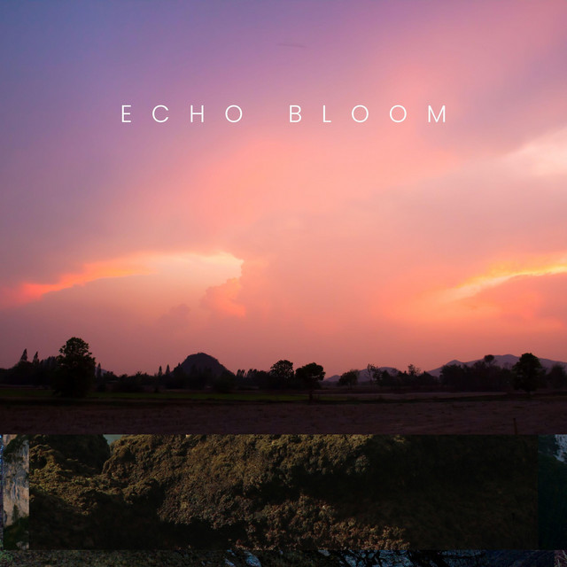 echo bloom - Single by Deep sky arf | Spotify