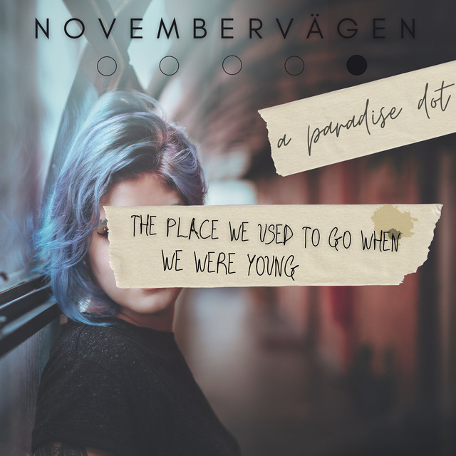 The Place We Used To Go When We Were Young (single)