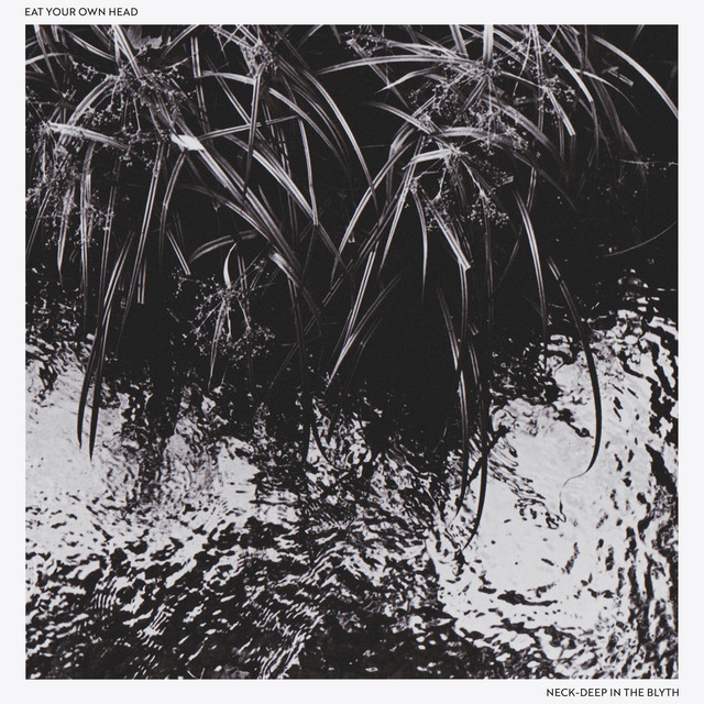 Neck-Deep in the Blyth cover art