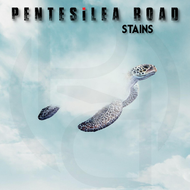 Stains cover art