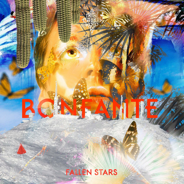 Fallen Stars cover