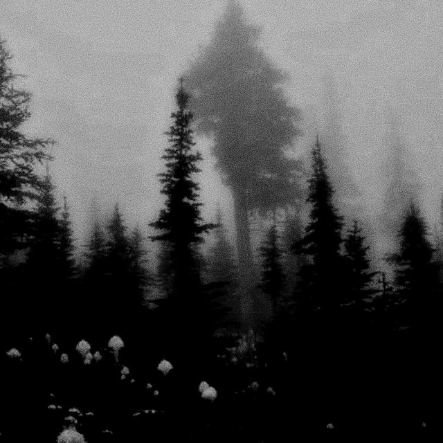 bye. cover art