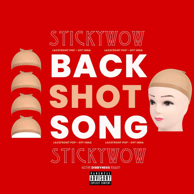 BackShot Song - Single by StickyWow | Spotify