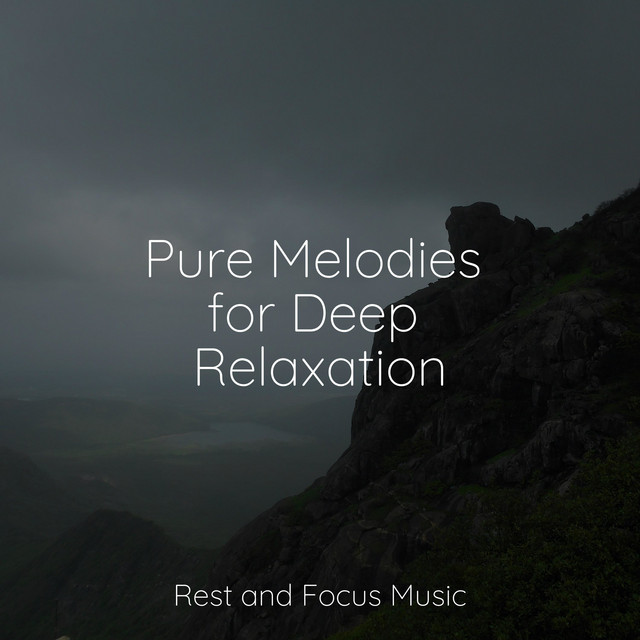 Pure Melodies for Deep Relaxation - Album by Relaxing Spa Music | Spotify