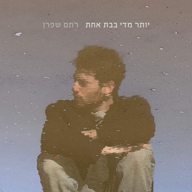 יותר מדי בבת אחת cover art
