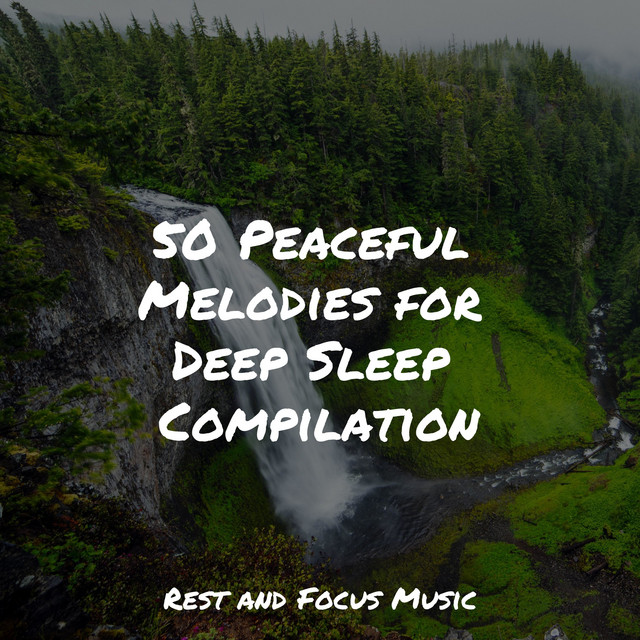 50 Peaceful Melodies for Deep Sleep Compilation - Album by Música ...