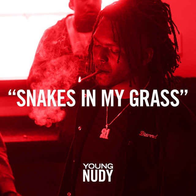 Snakes In My Grass cover