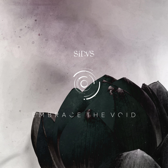 Embrace The Void (single)