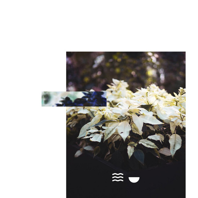 endless cover art