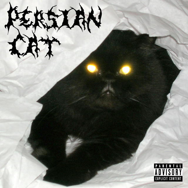 PERSIAN CAT cover art