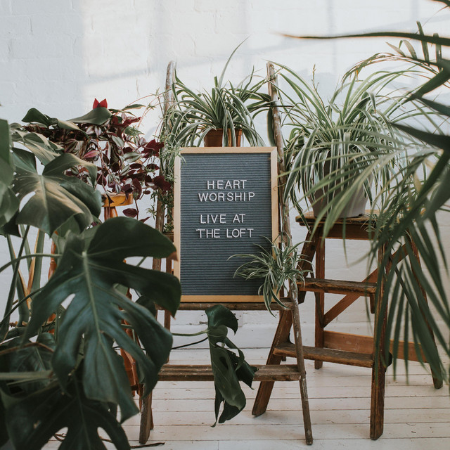 Live At The Loft cover art