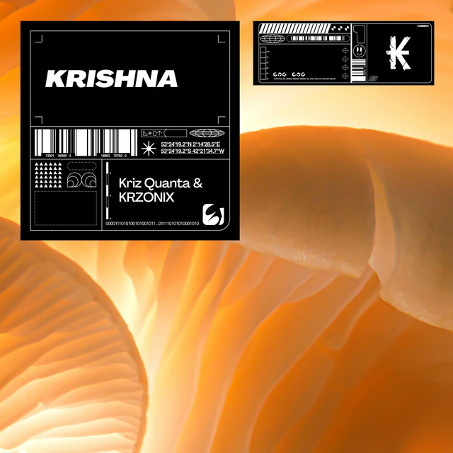 Krishna cover