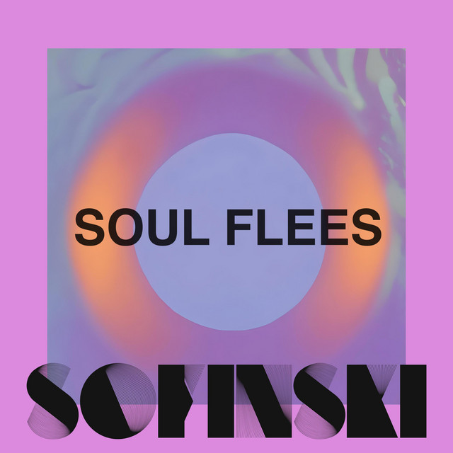 Soul Flees cover art