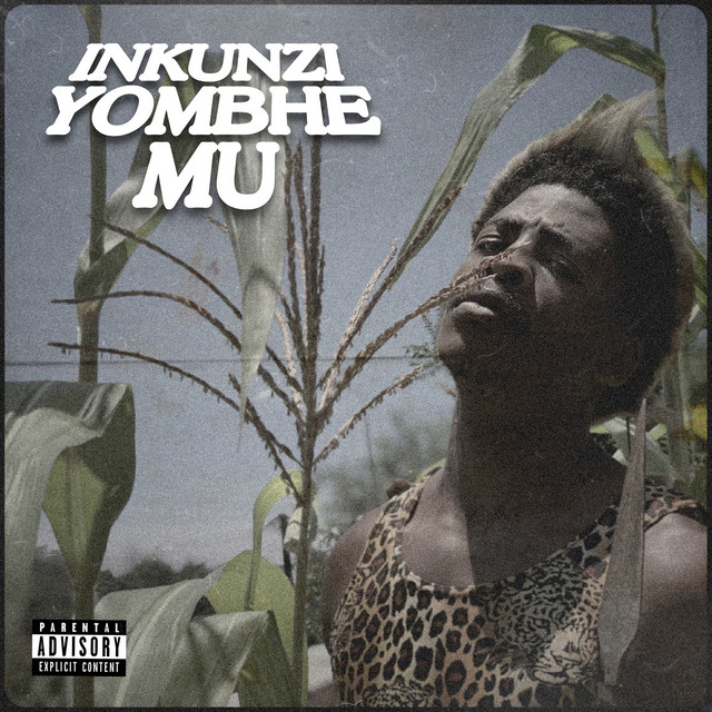 Inkunzi Yombhemu cover art