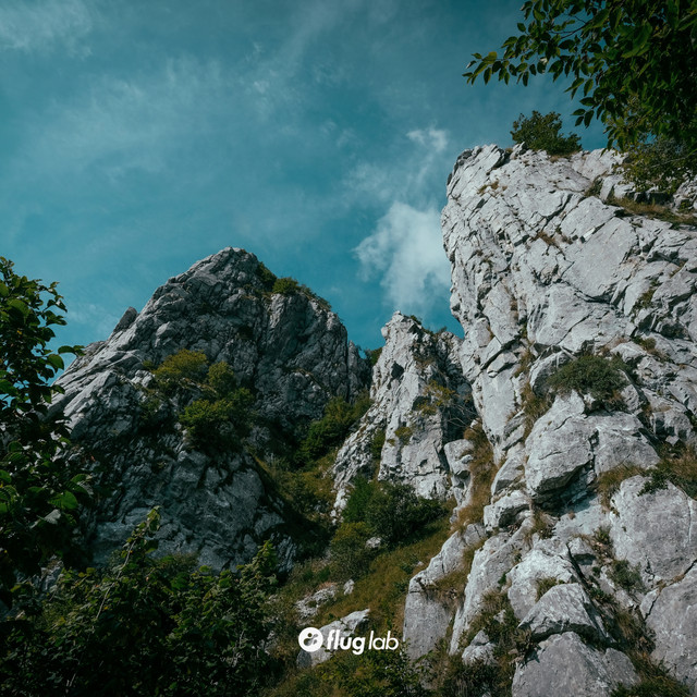 Growing in the Sun cover art